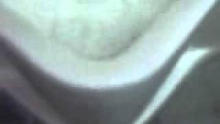 TOTO製小便器 Toto urinal U306C