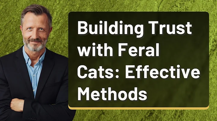 Building Trust with Feral Cats: Effective Methods
