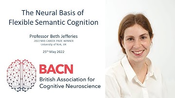 The Neural Basis of Flexible Semantic Cognition