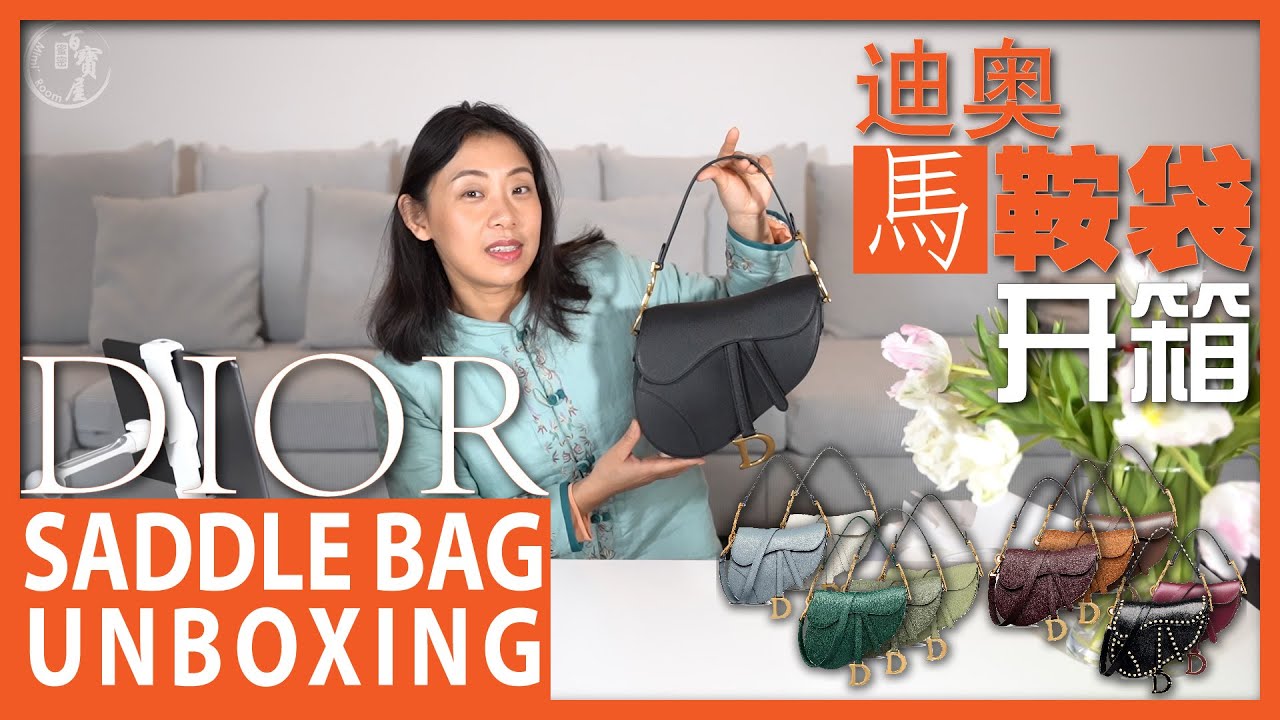 Dior Saddle Bag Unboxing and Review — The Ordinary Wongs