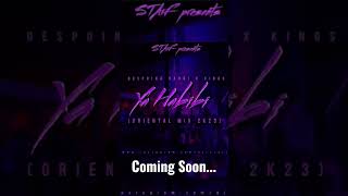 Δέσποινα Βανδή x Kings - Ya Habibi (STAiF Oriental Mix 2k23)...#Coming_Soon