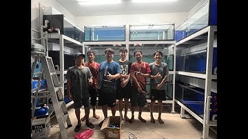 งานระบบ Overflow Full Services ตู้ปลาจำนวน 12 ใบ ที่ร้านโอเคฟ้าใสสนามหลวง 2 Set 2