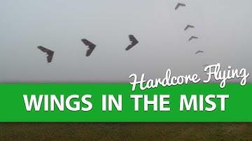 "Wings in the Mist" - A Real PEA SOUPER!