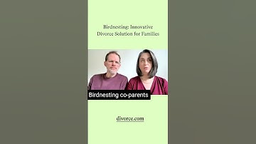 Birdnesting   Innovative Divorce Solution for Families