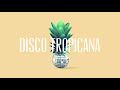 Dance monkey groove safari remix  disco tropicana