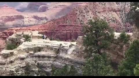 Onlookers scream as woman falls to her death at the Grand Canyon