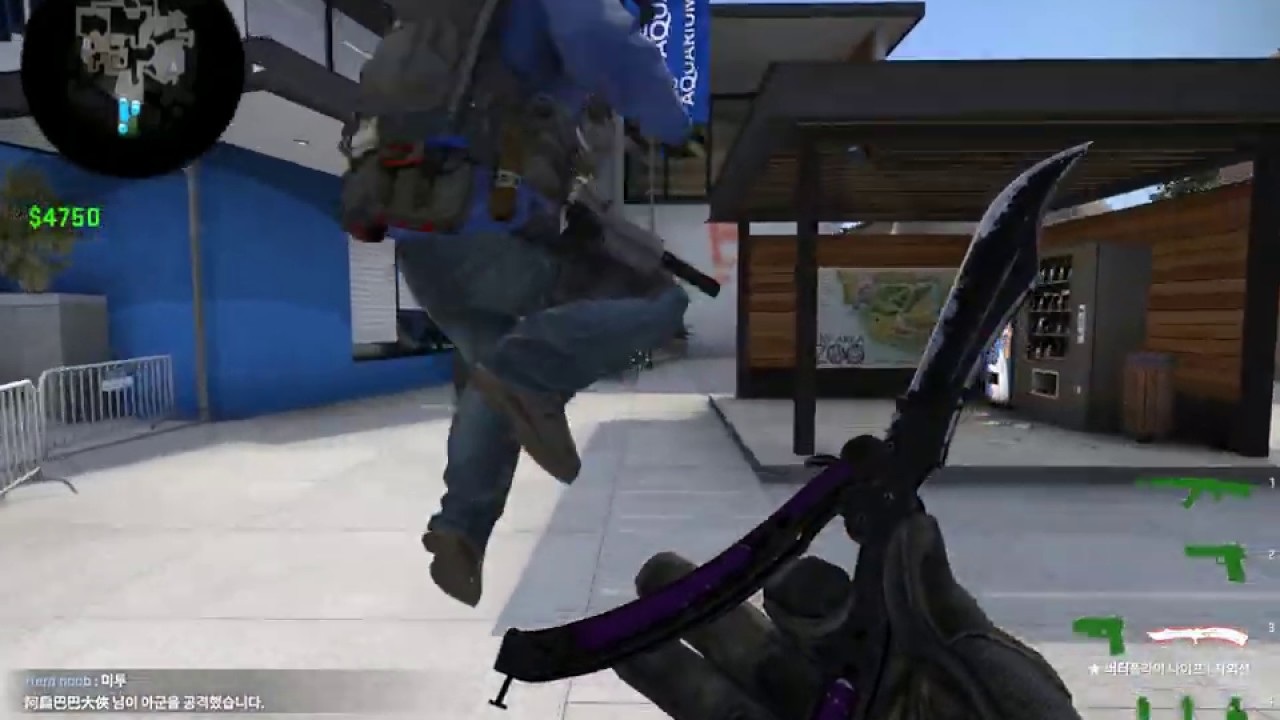 CSGO 20190811 02 02 17 12 zoo casual 1st win - some good kills - YouTube