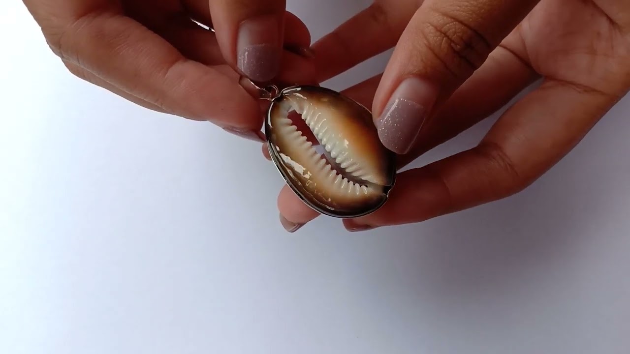 Sterling Silver, Brown Color, Cowrie, Shell Pendant SP 1185