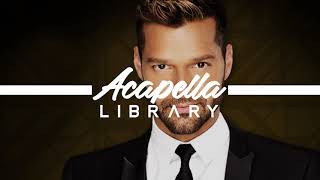 Ricky Martin - La Copa de la Vida (Acapella - Vocals Only)