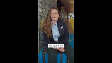 The importance of Employee Resource Groups (ERGs) ☀️