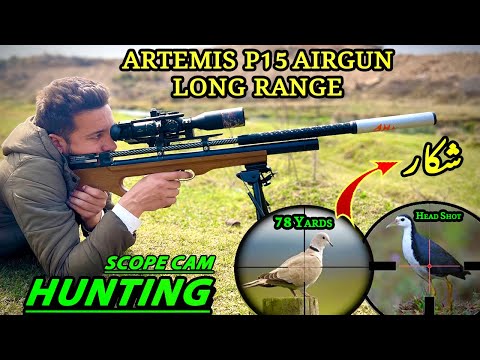 Artemis P15 Airgun Hunting | Dove Pigeon and Ducks | Long Range Hunting