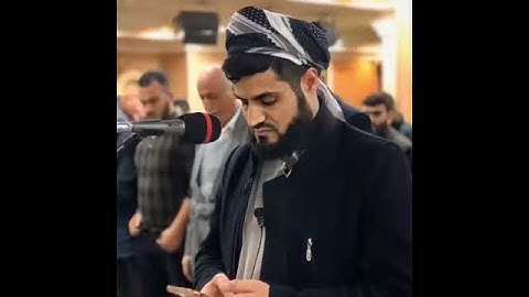 سورة الكافرون بصوت القارئ : الشيخ رعد الكردي ♥️