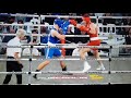 William mlacic vs ronin beaumont amateur boxing fight  boxing 2022 latest fight