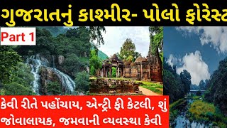 Polo Forest Vijaynagar Part 1। Tourist Attraction in Polo Forest ।। Ahmedabad to Polo Forest ।Go Pro screenshot 3