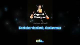 Kum Gibi-Organik Karaoke(Ahmet Kaya) Resimi