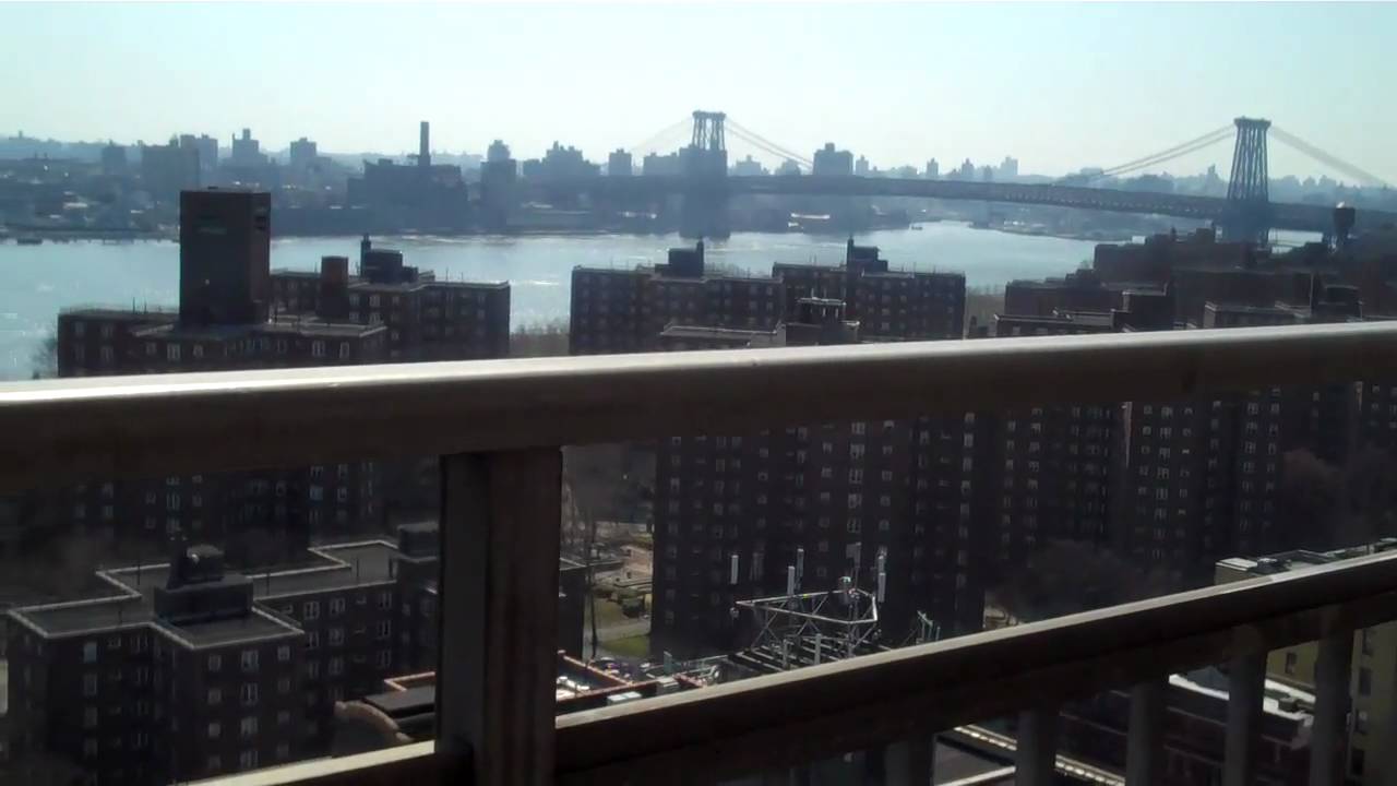 View of the 