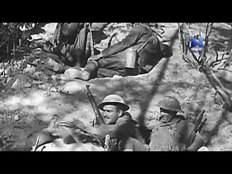 "Первая мировая война в цифрах", эпизоды 2 - 4.