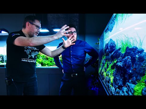 GREEN AQUA AQUASCAPING GALLERY REVIEW WITH FILIPE OLIVEIRA