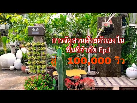 การจัดสวนต้นไม้ในกระถาง DIY ep.1