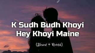 O Sudh Budh Khoyi Hey Khoyi Maine (Slowed + Reverb) || Music Vibes screenshot 5