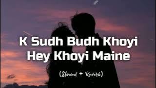 O Sudh Budh Khoyi Hey Khoyi Maine (Slowed   Reverb) || Music Vibes