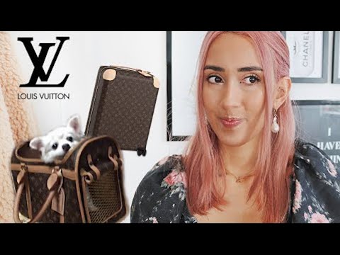 3-dumbest-purchase-from-louis-vuitton-that-i-regret