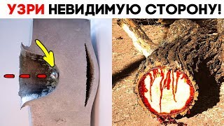 30 ЛЮТЫХ ВЕЩЕЙ В РАЗРЕЗЕ! УЗРИ НЕВИДИМУЮ СТОРОНУ 30 ЛЮТЫХ ВЕЩЕЙ В РАЗРЕЗЕ! УЗРИ НЕВИДИМУЮ СТОРОНУ