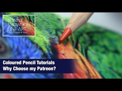 Coloured Pencil Tutorials - Why Choose my Patreon?