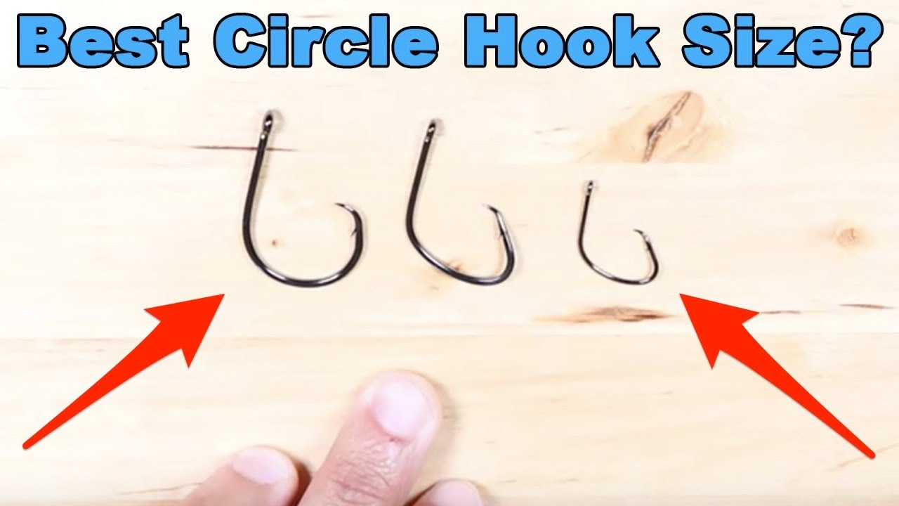 Circle Hooks: How To Choose The Right Size Hook For Live vs. Dead vs. Cut  Bait 