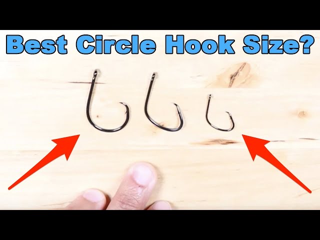 Circle Hooks: How To Choose The Right Size Hook For Live vs. Dead vs. Cut  Bait 