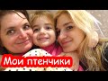 VLOG Да ладно. Свершилось