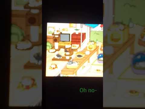 What Happened To My Neko Atsume Yard