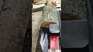 HARBOR FREIGHT 5 TON ELECTRIC LOG SPLITTER #harborfreight #harborfreighttools #logsplitter
