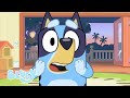 Bluey full episodes compilation  bluey