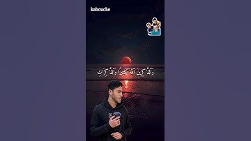 الآية(35) من سورة الأحزاب، بصوت القارئ انس عبد الستار.