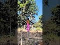 Lost in somewhere 🤗 #youtubeshorts ,#shortvideo #like #share #subscribe #love