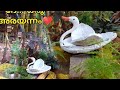 Cement Pond Waterfall Making|Cement Bird making|Cement craft