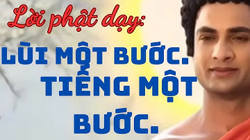 Lời phật dạy: Lùi một bước biển rộng trời cao, nhẫn một chút sóng yên gió lặng.#phatphap #youtube