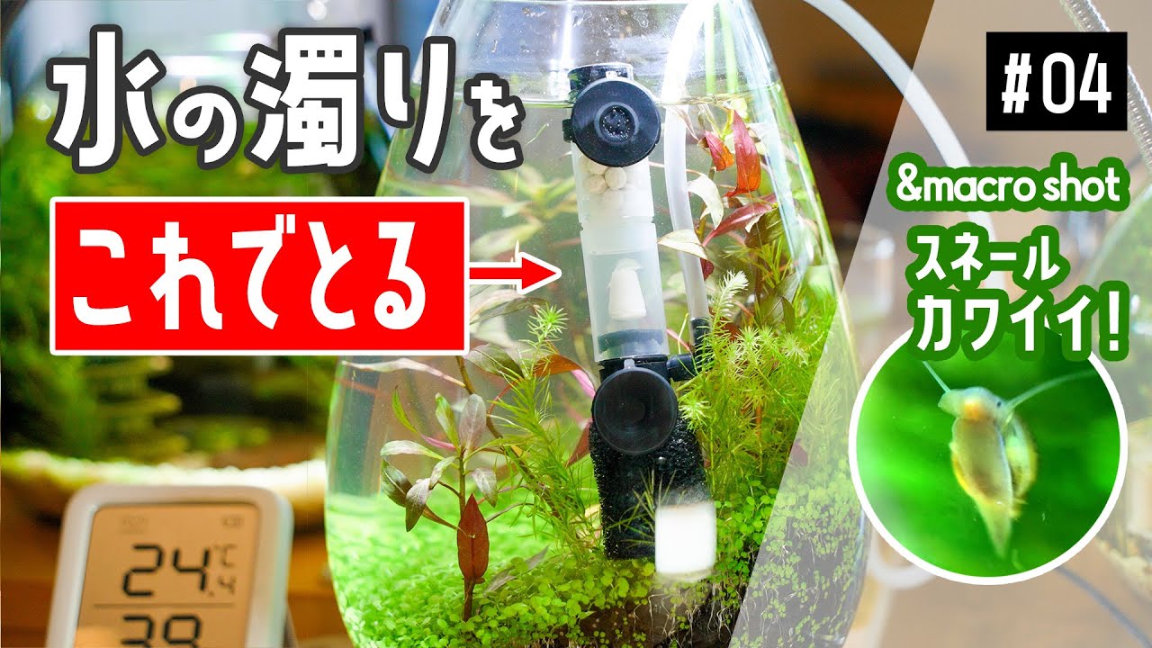 【ボトルアクアリウム 04】水入れて1週間で濁りが！極小スポンジフィルターを入れて水質改善＆100均のマクロレンズで見る世界