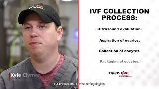 Trans Ova | Trans Ova Short | IVF
