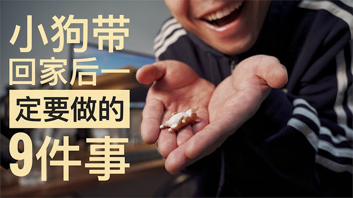 小狗带回家必做的9件事 - 天天要闻