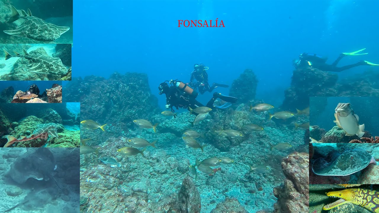 Buceo en Fonsalía, 22-01-2023