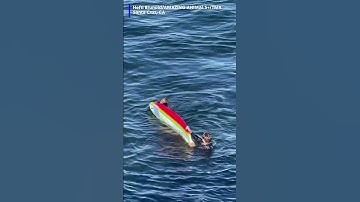 Sea Otter Attacks Surfboard