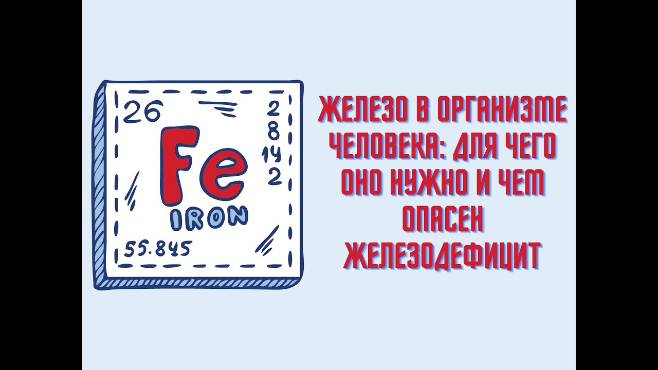 Железо в организме человека: для чего оно нужно и чем опасен ...