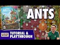 ANTS   Tutorial &amp; Playthrough