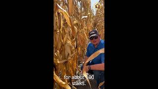 Harvest Planning: Pinch and Push Tests