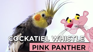 PINK PANTHER COCKATIEL WHISTLE