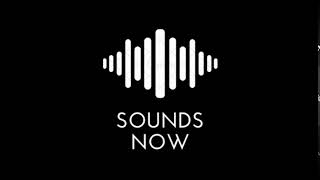 HAPPY BIRTHDAY TO YOU SOUND