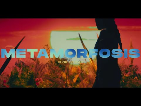 Flor de Rap - Metamorfosis (Video Oficial)