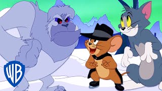 Мульт Tom Jerry Yeti Problem WB Kids